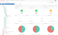 Oracle database and APEX